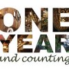 Simply Fit Canada celebrates year 1! 1 year counting